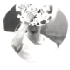 BANGCHAN