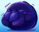 Blueberry Sylveon