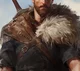 VIKING Husband