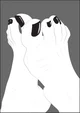 White Diamond