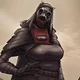Tusken Warrior