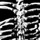 PATRICK HOCKSTETTER 