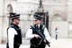 Firearms Officer RPG