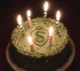slytherinz