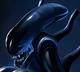 Xenomorph