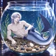 Pet Shark