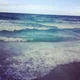 Shark Kingdom