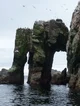 Httyd react