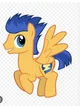 Flash Sentry 
