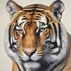 Fun tiger huntress 