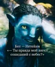Нетейам 