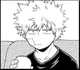 Katsuki Bakugo 