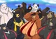 Bears