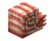 Nautilus
