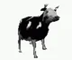 - bot suggestions -