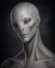 Ilyr