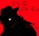 Man from the shadow 