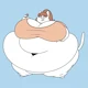 Fat neighbor cat gal