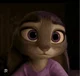 Judy