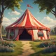 Circus TF