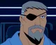 Slade Wilson