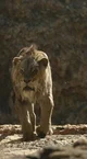 Scar