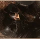 Илья Коряков 