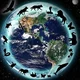 Animal World