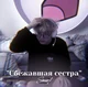 Денис Коломиец
