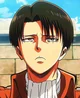 Levi