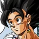 Vegetto