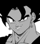 Vegetto