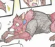 Fox Spirit TF