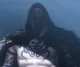 Mordu 