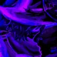 Azure - FORSAKEN