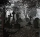 Horror Stories RPG