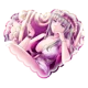 46 Theiatena Venus