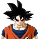 Goku exe